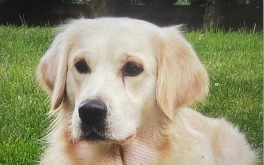 Screenshot 2025-12-10 alle 11.10.25.png