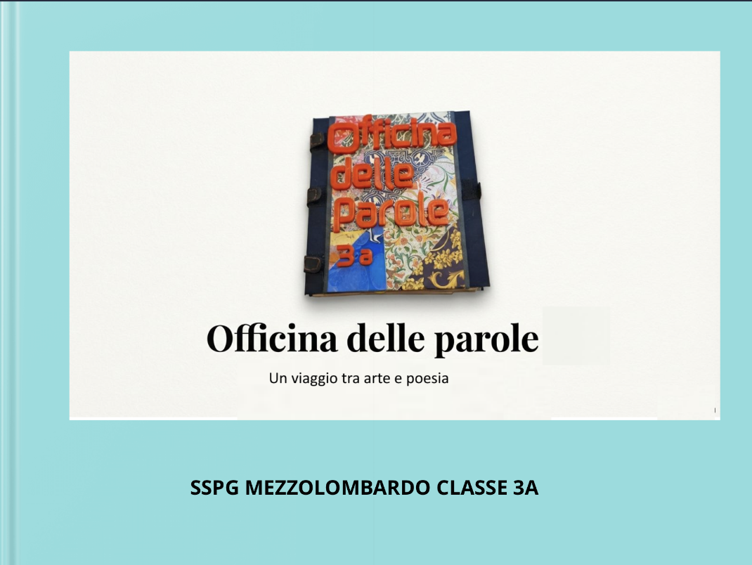 Screenshot 2026-06-01 alle 13.55.15.png